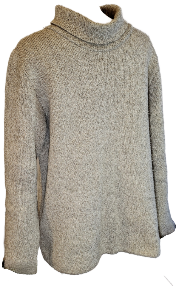 Pull col roulé en pure laine vierge